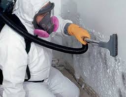  Diamond, IL Mold Inspection Pros